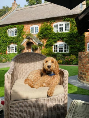 Little Woodside a beautiful New Forest self contained private luxury annexe